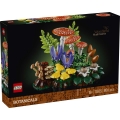 Box image