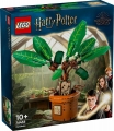 Box image