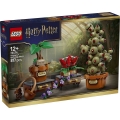 Box image