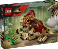 Box image
