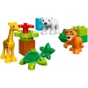 LEGO 10801 - LEGO DUPLO - Baby Animals