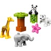 LEGO 10904 - LEGO DUPLO - Baby Animals