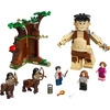 LEGO 75967 - LEGO HARRY POTTER - Forbidden Forest: Umbridge's Encounter