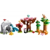 LEGO 10974 - LEGO DUPLO - Wild Animals of Asia