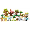 LEGO 10975 - LEGO DUPLO - Wild Animals of the World