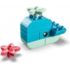LEGO 30648 - LEGO DUPLO - Whale