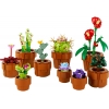 LEGO 10329 - LEGO EXCLUSIVES - Tiny Plants