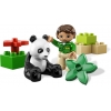 LEGO 6173 - LEGO DUPLO - Panda