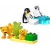 LEGO 10442 - LEGO DUPLO - Wild Animal Families: Penguins & Lions