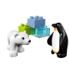 LEGO 10501 - LEGO DUPLO - Zoo Friends