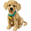 LEGO 11384 - LEGO EXCLUSIVES - Golden Retriever Puppy